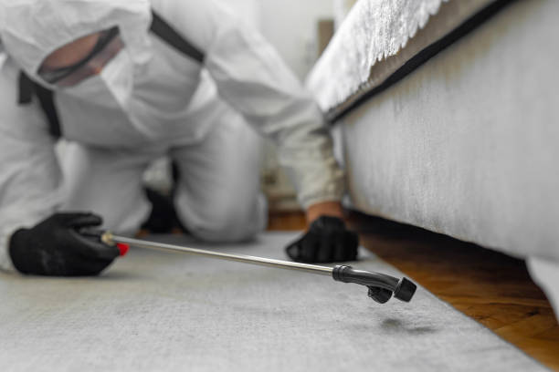 Professional Termite Control technician working in Auburn, WA